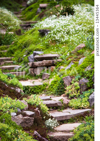 Stony stairs in the green garden 13445364