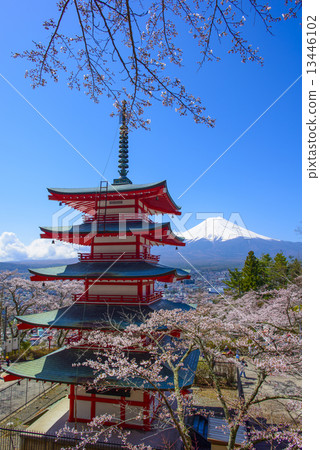 Fuji asama Shrine and Mt. Fuji 13446102
