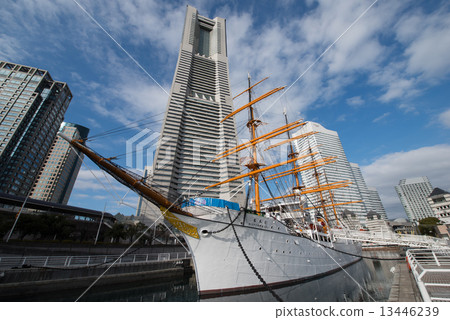 帆船Nippon Maru 13446239
