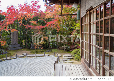 Konfukuji, autumn leaves on Katsuyama 13446272