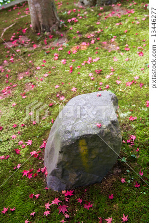 Kinpukuji, autumn leaves on moss floor and garden stone Kinpukuji, autumn leaves on moss floor and garden stone 13446277