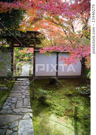 The autumn leaves of Kinpukuji, the gate of Basho residence 13446279