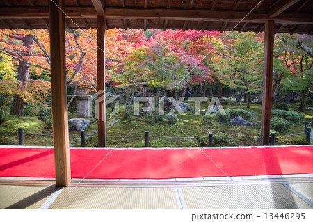 Enkoji的秋葉，十個山毛櫸花園 13446295