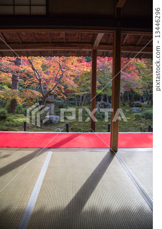 Enkoji的秋葉，十個山毛櫸花園 13446296
