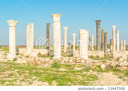 Ruins of Gueweve (Jordan, Irbid North) 13447308