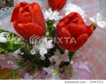 花束 花束 13447331