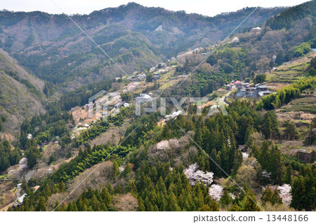 春山村風光1 春山村風光1 13448166
