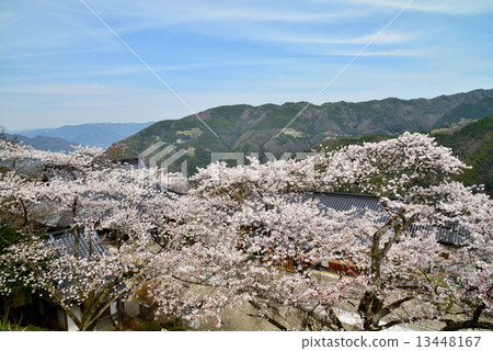 春山村風光2 13448167