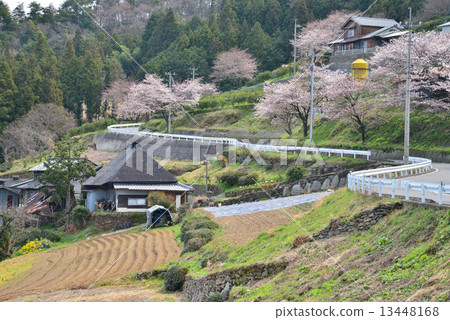春山村景觀3 春山村景觀3 13448168