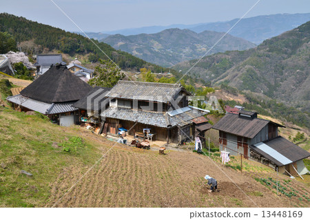 春山風光4 13448169