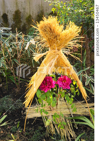 January flower button · button department 104 cold button 13450467