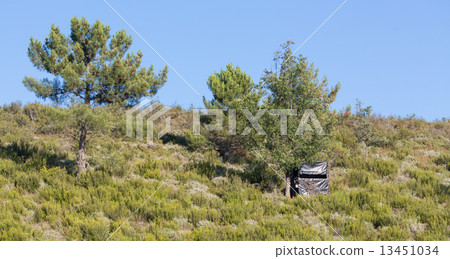 hidden black hut for big game hunting, wooden made hidden black hut for big game hunting, wooden made 13451034