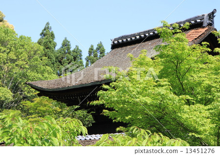 The roof of the main hall (important cultural property) in Ikkyu-ji, Kyotanabe City, Kyoto Prefecture 13451276