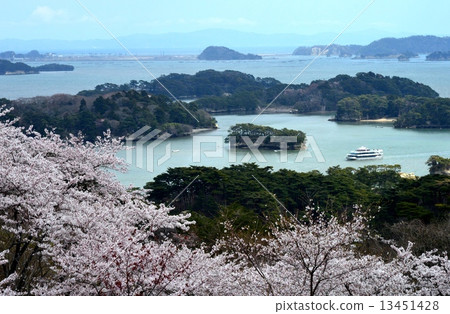 松島在春天 松島在春天 13451428