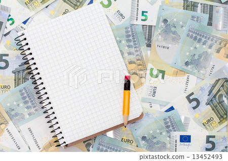 Notebook and euro currency 13452493
