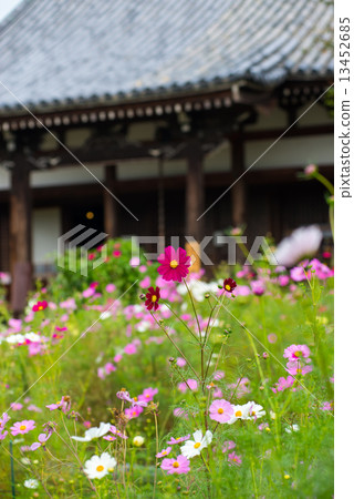 文寺的宇宙 13452685