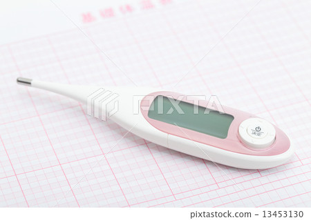 Basic thermometer 13453130