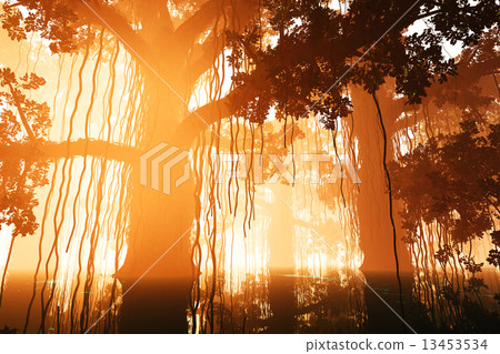 Mysterious Deep Jungle in the Sunset Sunrise 3D artwork 13453534