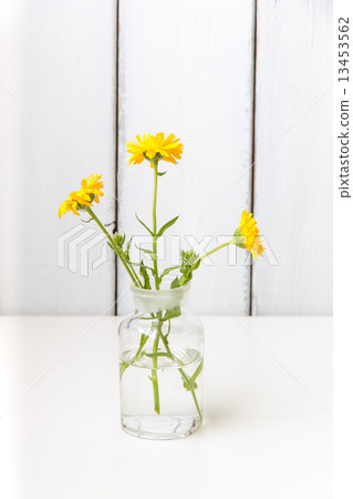 Autumn still life 13453562