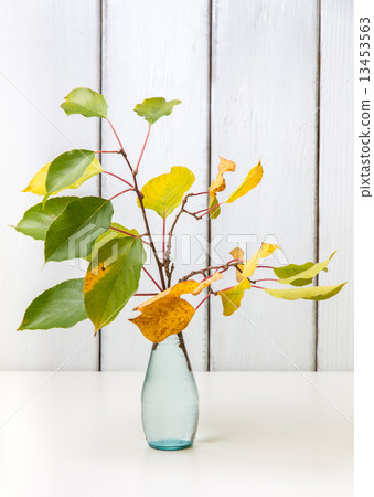 Autumn still life 13453563