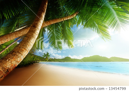 sunset on beach, Mahe island, seychelles sunset on beach, Mahe island, seychelles 13454799