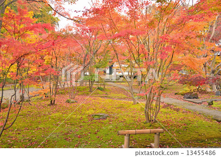 The garden of Yadoji The garden of Yadoji 13455486