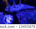 Christmas LED Lights  Illumination in Tokyo 13455878