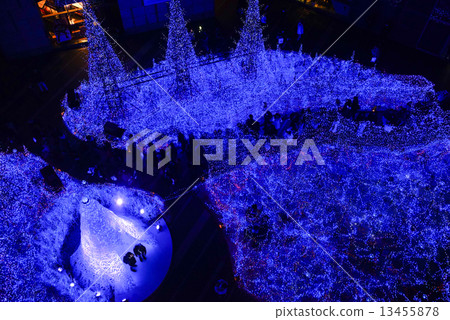 Christmas LED Lights  Illumination in Tokyo 13455878