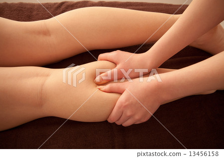 female, lady, woman 13456158