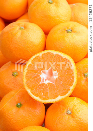 桔子 桔子 13456271