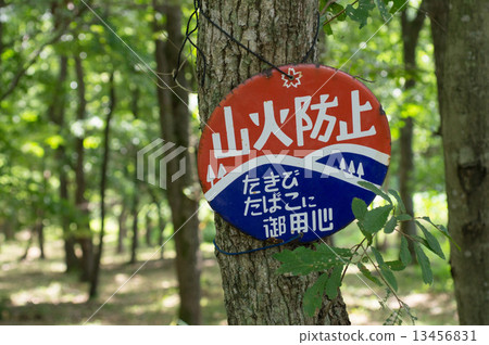 Wildfire fire prevention sign 13456831