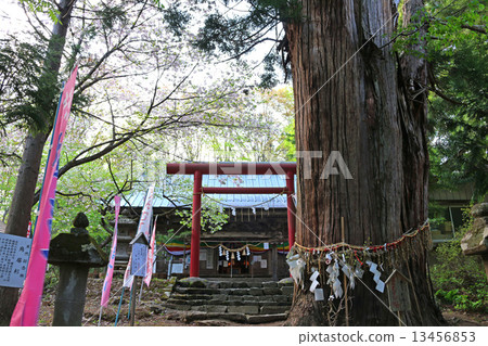 Bansho神社 Bansho神社 13456853