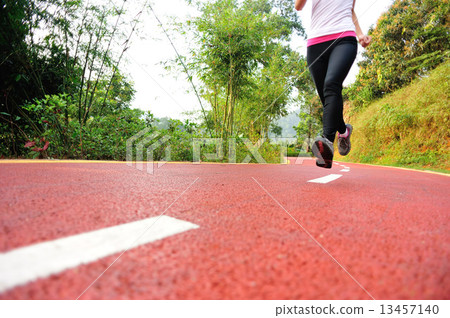 healthy lifestyle fitness sports woman running at park trail healthy lifestyle fitness sports woman running at park trail 13457140