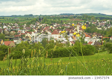 village in the green 13457374