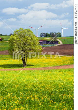 wind wheel in a rural environment 13457455