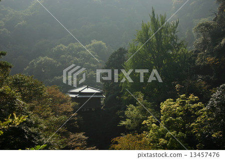 Namiyoshiji寺的Kiantei寺廟 Namiyoshiji寺的Kiantei寺廟 13457476