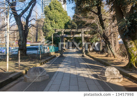 Shibuya Hikawa Shrine Shibuya Hikawa Shrine 13457998