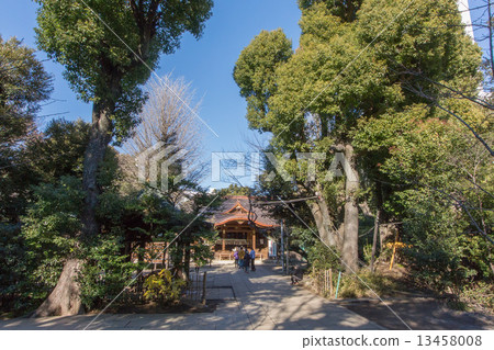 Shibuya Hikawa Shrine in Honmachi, Shibuya Ward, Tokyo 13458008