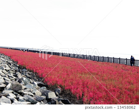 Turkey Turkey 13458062