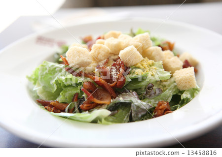 ceacar salad 13458816