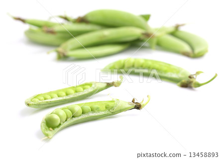 Soybean isolated in white background 13458893