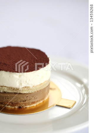 Tiramisu cake Tiramisu cake 13459268