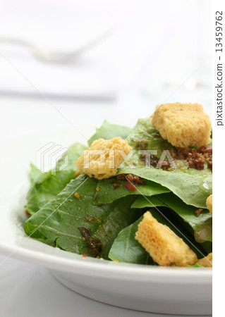 Salad isolated in white background 13459762
