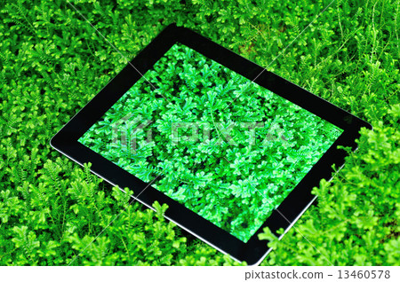 black tablet pc on selaginella uncinata Spring black tablet pc on selaginella uncinata Spring 13460578