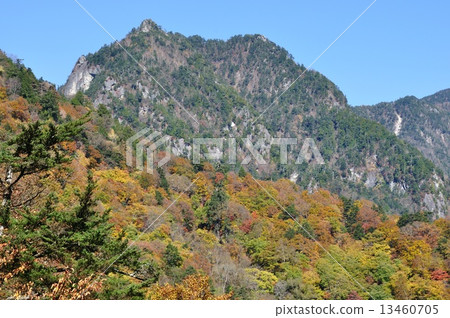 從西澤谷的秋葉山。 13460705