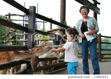 Contact with animals 13460831