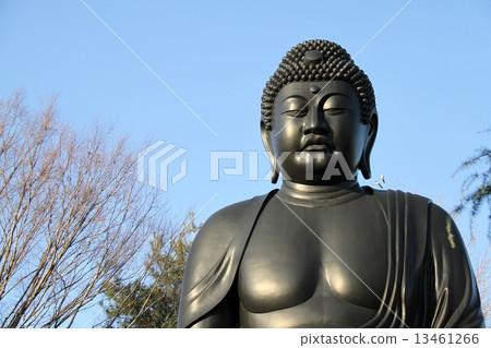 常蓮寺的東京大佛(赤塚大佛) 常蓮寺的東京大佛(赤塚大佛) 13461266
