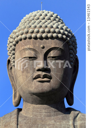 Ushiku Great Buddha 13461543
