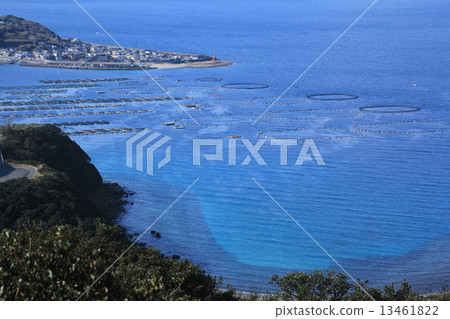 從大月鎮看到的Sukumo灣 13461822