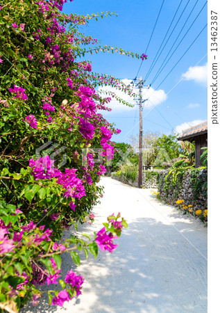 Scenery of Taketomi-jima Island, Okinawa Prefecture 13462387